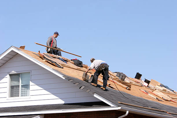 Best Solar Panel Roofing Installation  in Ingleside, TX