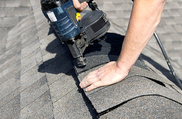 Best Roof Moss and Algae Removal  in Ingleside, TX